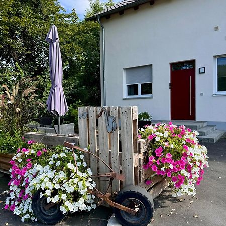 Ferienwohnungen Frank Segnitz Bagian luar foto