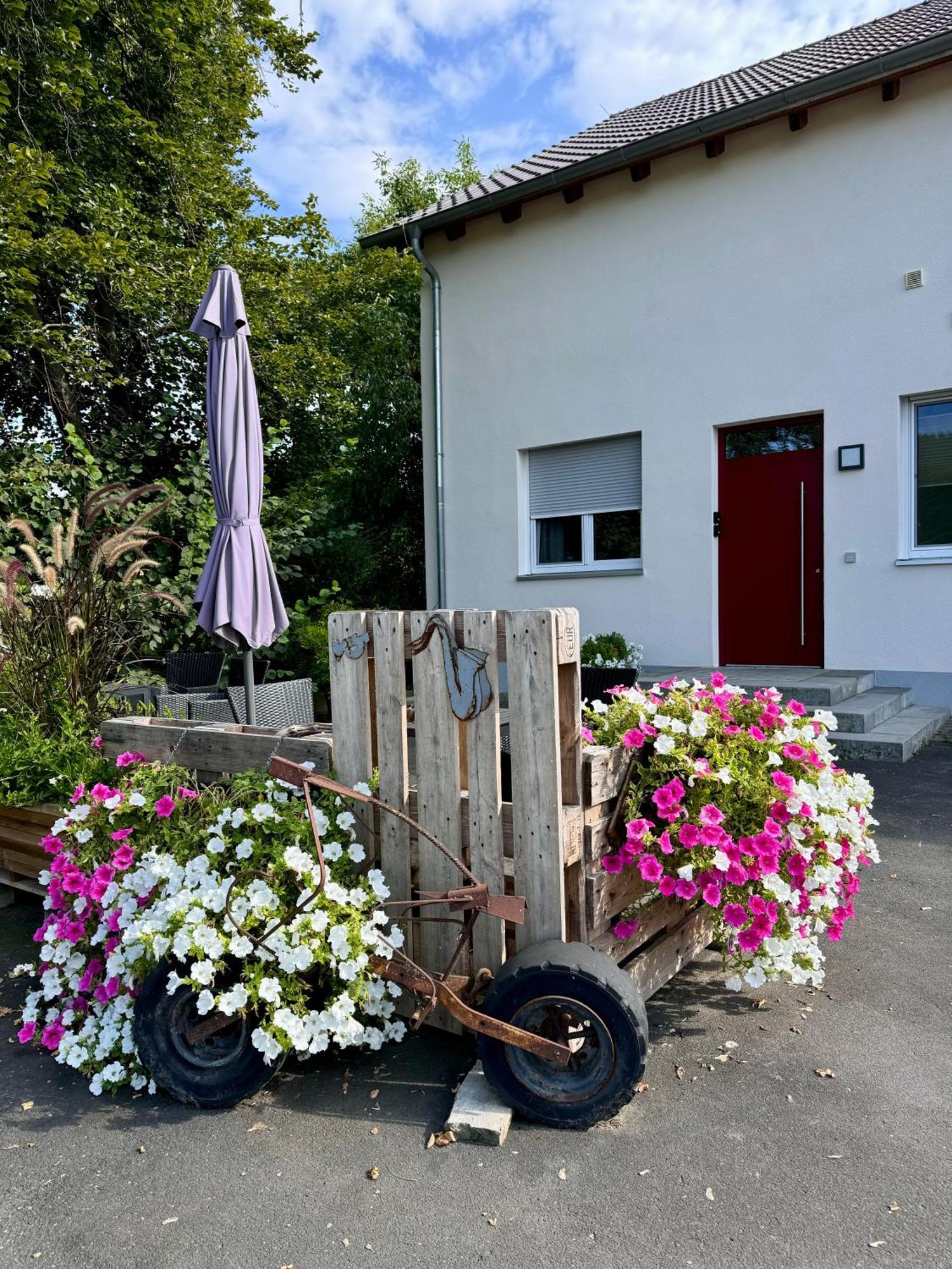 Ferienwohnungen Frank Segnitz Bagian luar foto